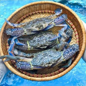 Ghẹ Xanh Sống 250-340g