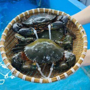 Cua Thịt Cà Mau Y3 350-500g