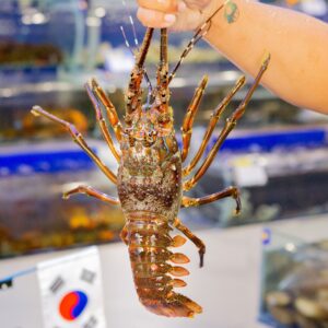 Tôm Hùm Xanh 400-600g