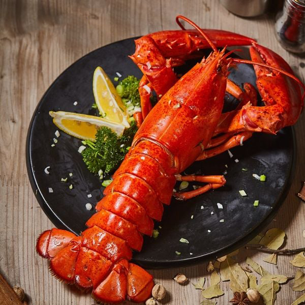 363378002_651834990309430_143987005007052722_n_4a8384abbcbd4c098a20953ecb0daf29_grande