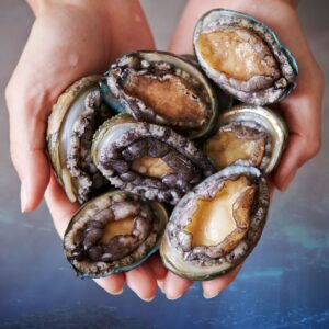 Bào Ngư Sống 8-12 Con